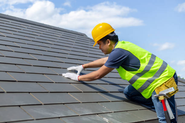 Best Roof Maintenance Services  in Ravensworth, VA