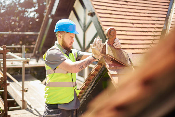 Best Roof Gutter Cleaning  in Ravensworth, VA